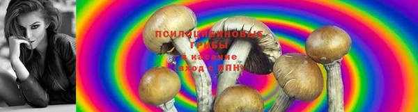 первитин Бородино